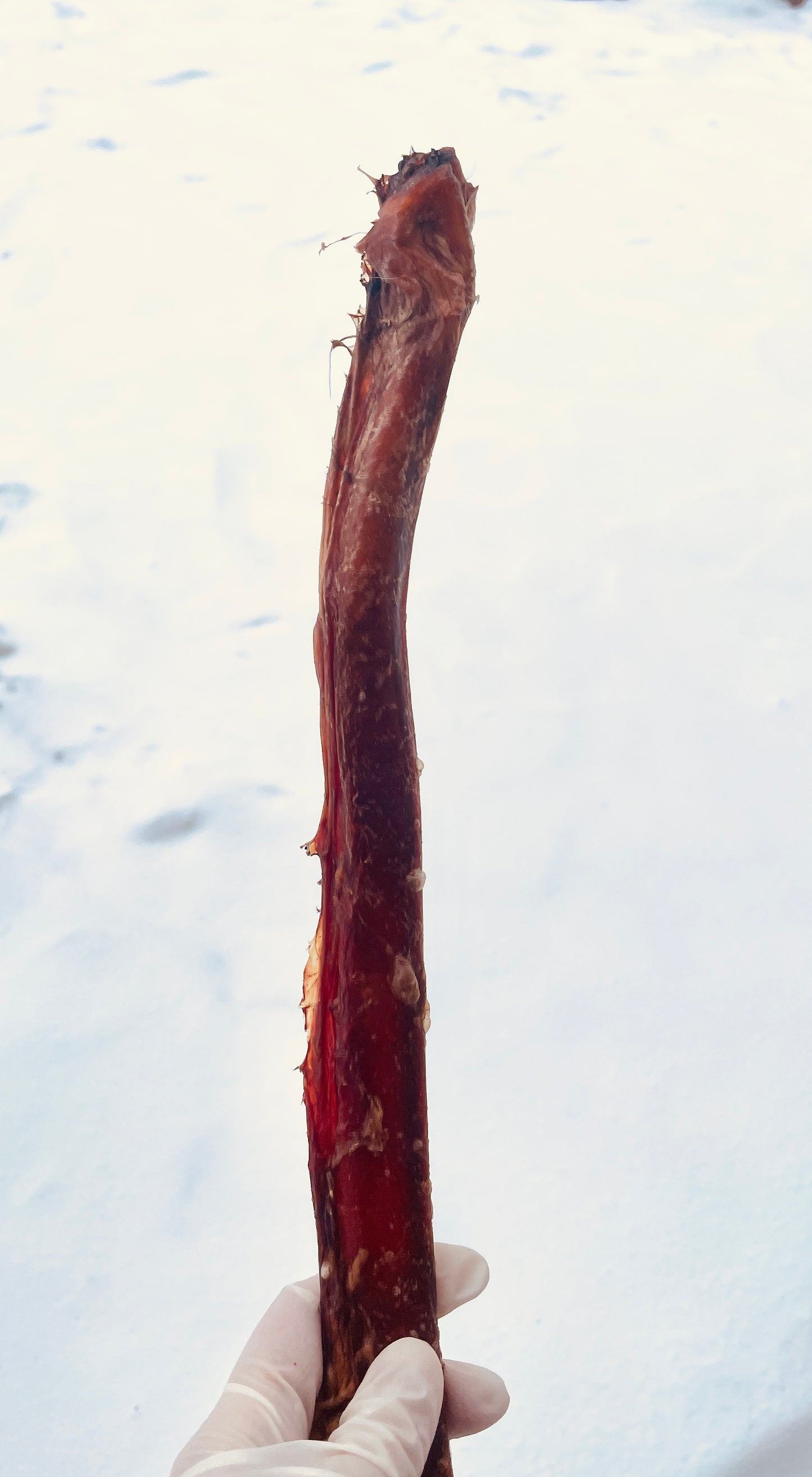 Grass-Fed Bison Bully Stick